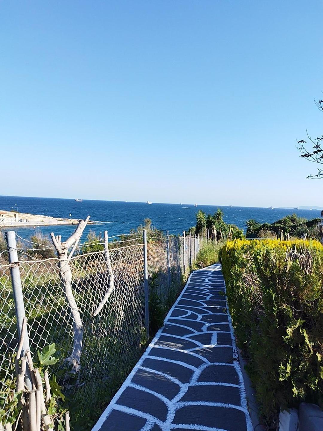 Апартаменти Kynosoura'S Sea View Ambelakia Екстер'єр фото