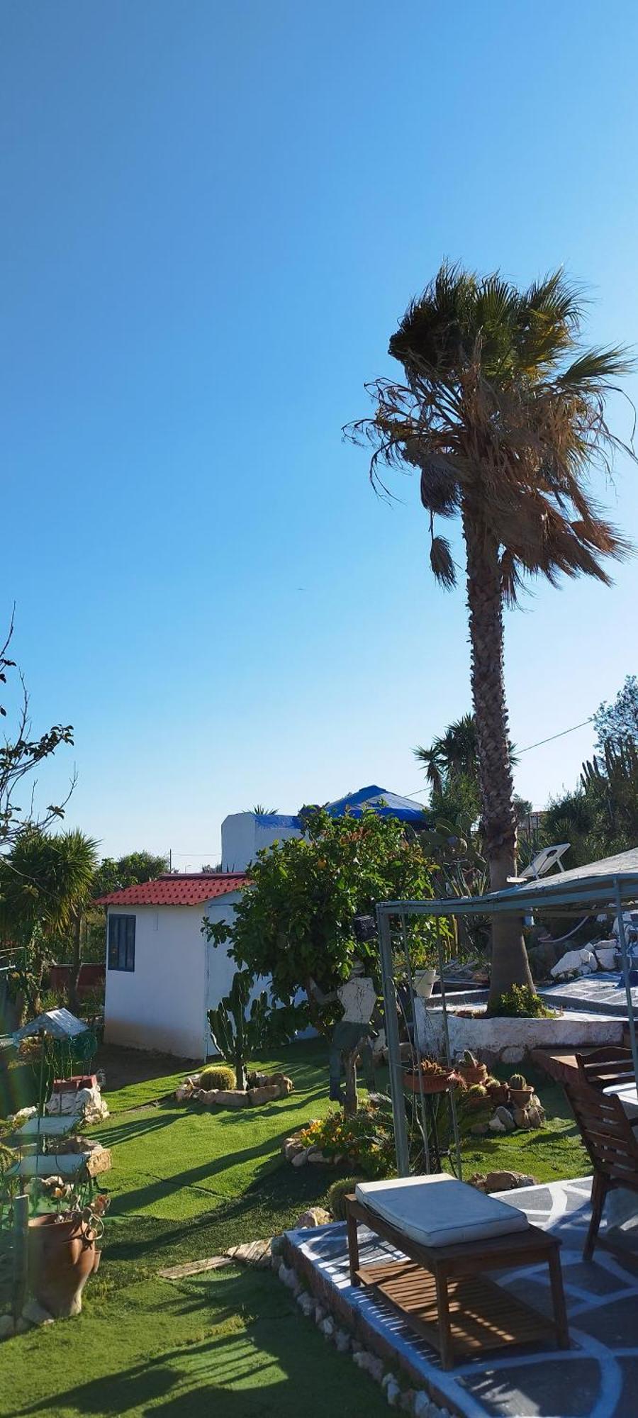 Апартаменти Kynosoura'S Sea View Ambelakia Екстер'єр фото